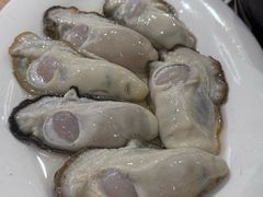 生蚝-濠轩阁特色生蚝火锅总店