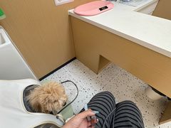 -瑞派康怡24h宠物医院·犬猫医疗中心·微创绝育(瑞景分院)