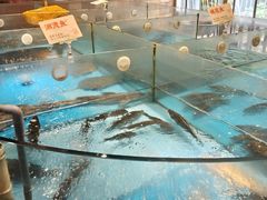 -耕渔小院·湖南鱼鲜(望城店)