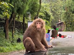 -西岭雪山大飞水景区