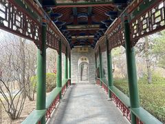 -迎泽公园