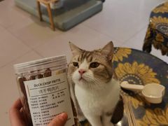 -平行世界·猫咖(首经贸店)