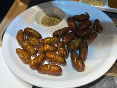 -杨记齐齐哈尔烤肉(五莲路店)