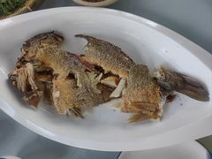 -鲁菜根·泰山菜(泰山店)