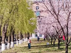 -吉林大学(南岭校区)