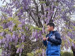 -云漫湖生态度假公园