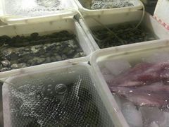 -胖姐海鲜烧烤大排档(青石桥中街店)