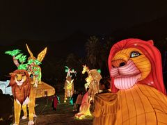 -重庆海昌加勒比海水世界