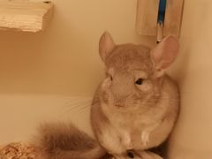 -龙猫仔乐园(惠福东路店)