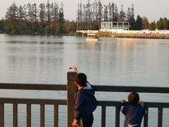 -上海长兴岛郊野公园