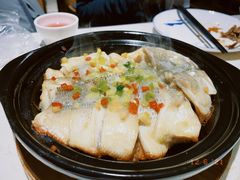 -点都德·毕德寮