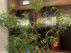 -梅花香里大酒店(郁金香路店)
