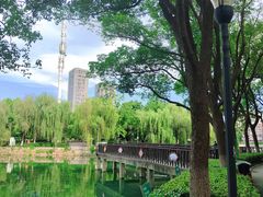 -宝岛公园