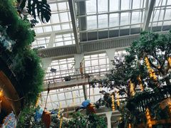 -正佳雨林生态植物园