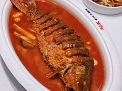 -阿五黄河大鲤鱼(海尚店)
