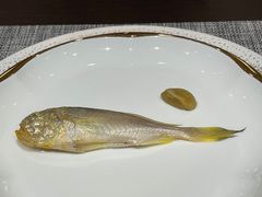 -潮汕味道·煮海餐厅(金麟大厦店)