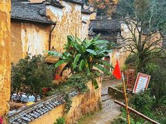 -杨家堂村