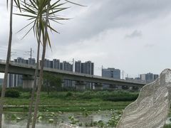 -光明小镇欢乐田园