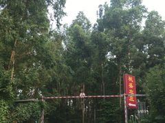 -火炉山森林公园