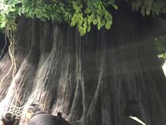 -江和美海洋公园