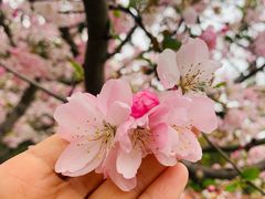 -南京市江宁方山