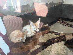 -大连森林动物园