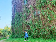 -东寨港红树林旅游区