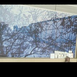 -baby bella小贝拉母婴护理中心(北京东隅店)