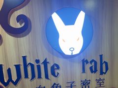 -白兔子密室(长寿路店)