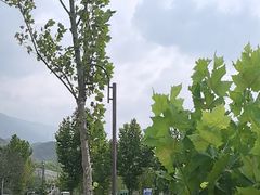-816工程景区