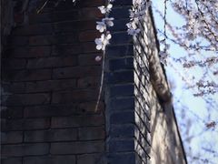 -三里河公园