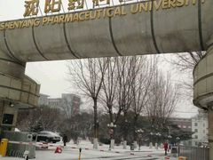 -沈阳药科大学