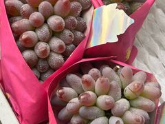 -马陆小张葡萄园农家乐