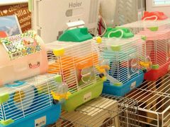 -龙猫仔乐园(惠福东路店)