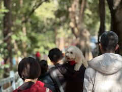 -南国桃园旅游度假区