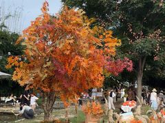 -HERRE·FARM 赫尔露营农场·团建聚会包场