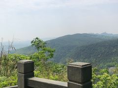 -铁山坪森林公园