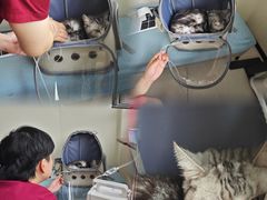 -美联众合动物医院·24h京西诊疗中心