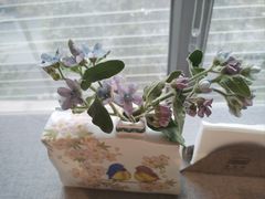 -南堂馆·新川菜(春熙路店)