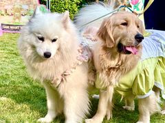 -上海神旺大酒店