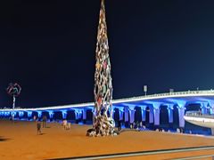 -演武大桥观景平台