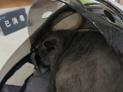 -联合动物医院(光谷诊疗中心)