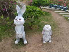 -铁山坪森林公园