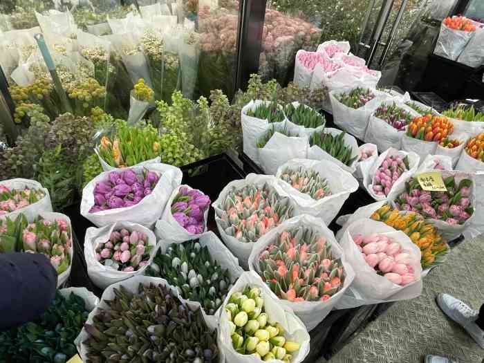 王四营鲜花批发(花花市界店)-"姐妹们,王四营花卉市场搬家了,搬到市场