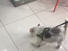 -纳吉亚猫专科动物医院博雅分院