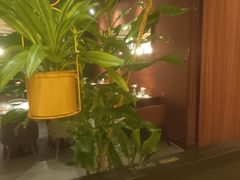 -西堤牛排(北京国瑞店)
