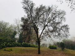-采石矶景区
