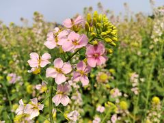 -中国天府农业博览园