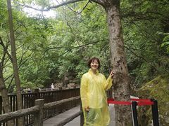-牛背梁国家森林公园