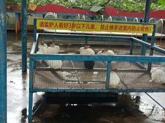 -南宁市动物园